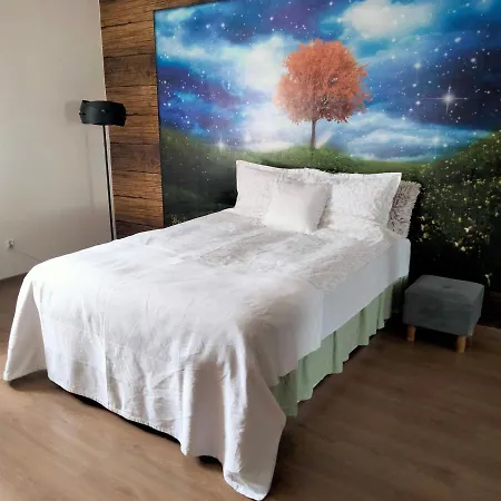 Cicha Kawalerka W Samym Centrum Czestochowa