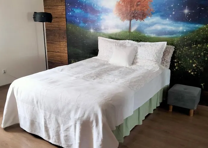 Cicha Kawalerka W Samym Centrum Częstochowa